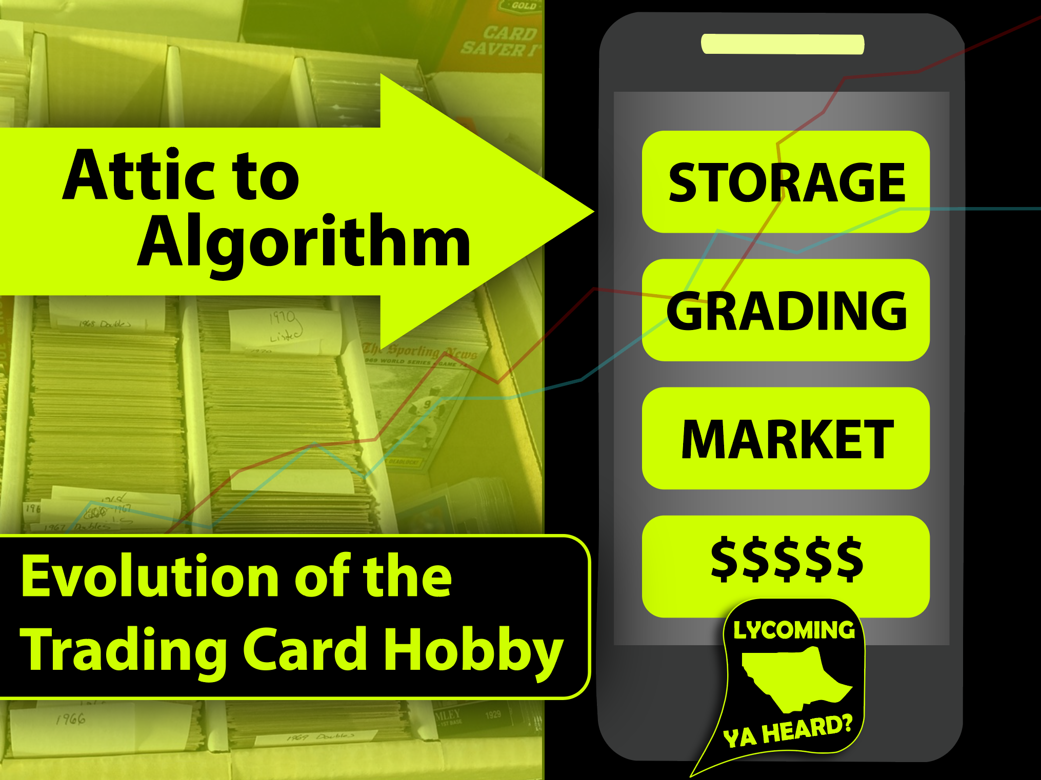 Attic to Algorithm: The Evolution of Trading Card Collecting in the Digital Age